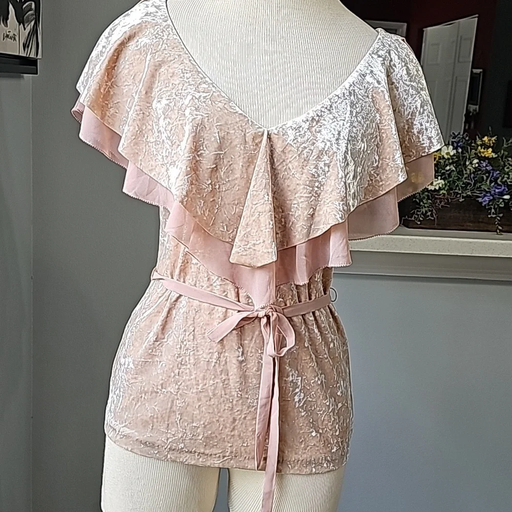 White‎ house black market velvet light pink V neck and back XS women's to…